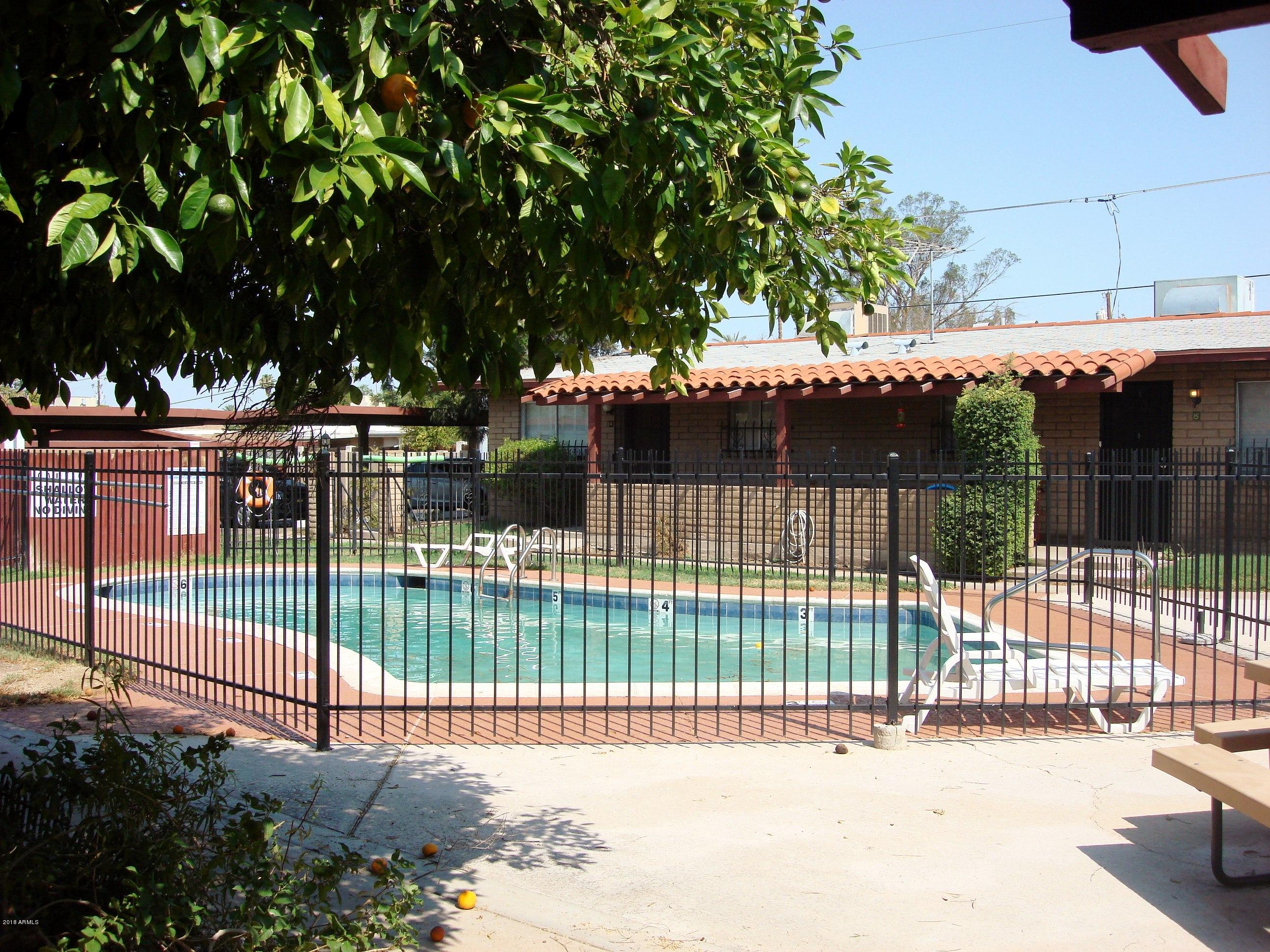 6733 North 16th Street, Unit 34 Phoenix, AZ 85016 - Photo 12 of 13 Sparkling Pool
