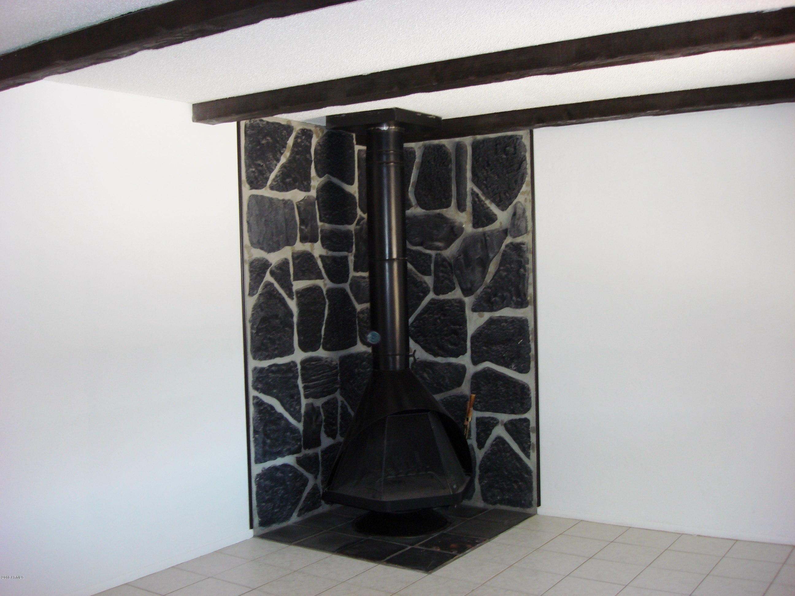 6733 North 16th Street, Unit 34 Phoenix, AZ 85016 - Photo 6 of 13 Fireplace