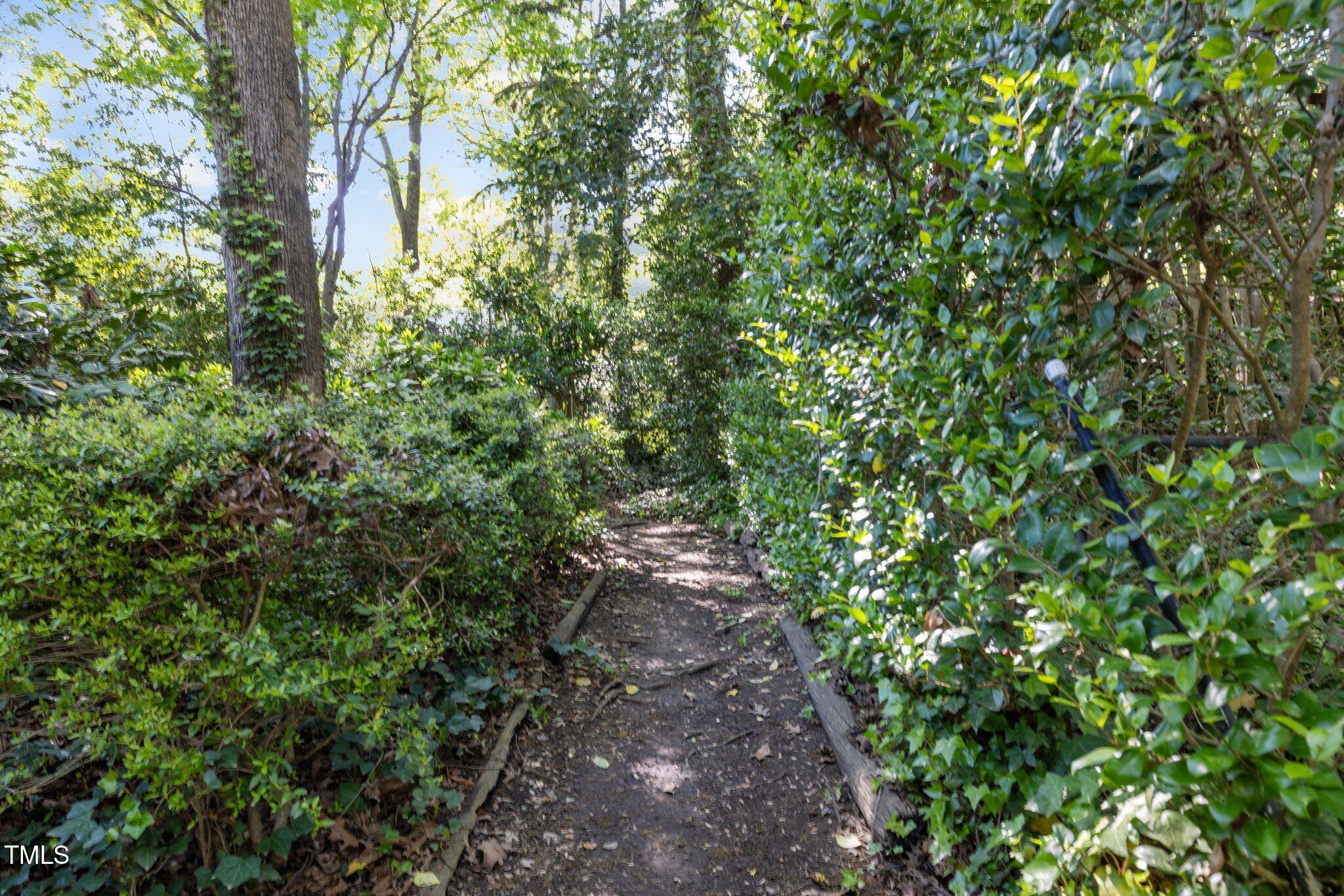 1304 Deboy Street Raleigh, NC 27606 - Photo 48 of 53 41-web-or-mls-5Z8A7124