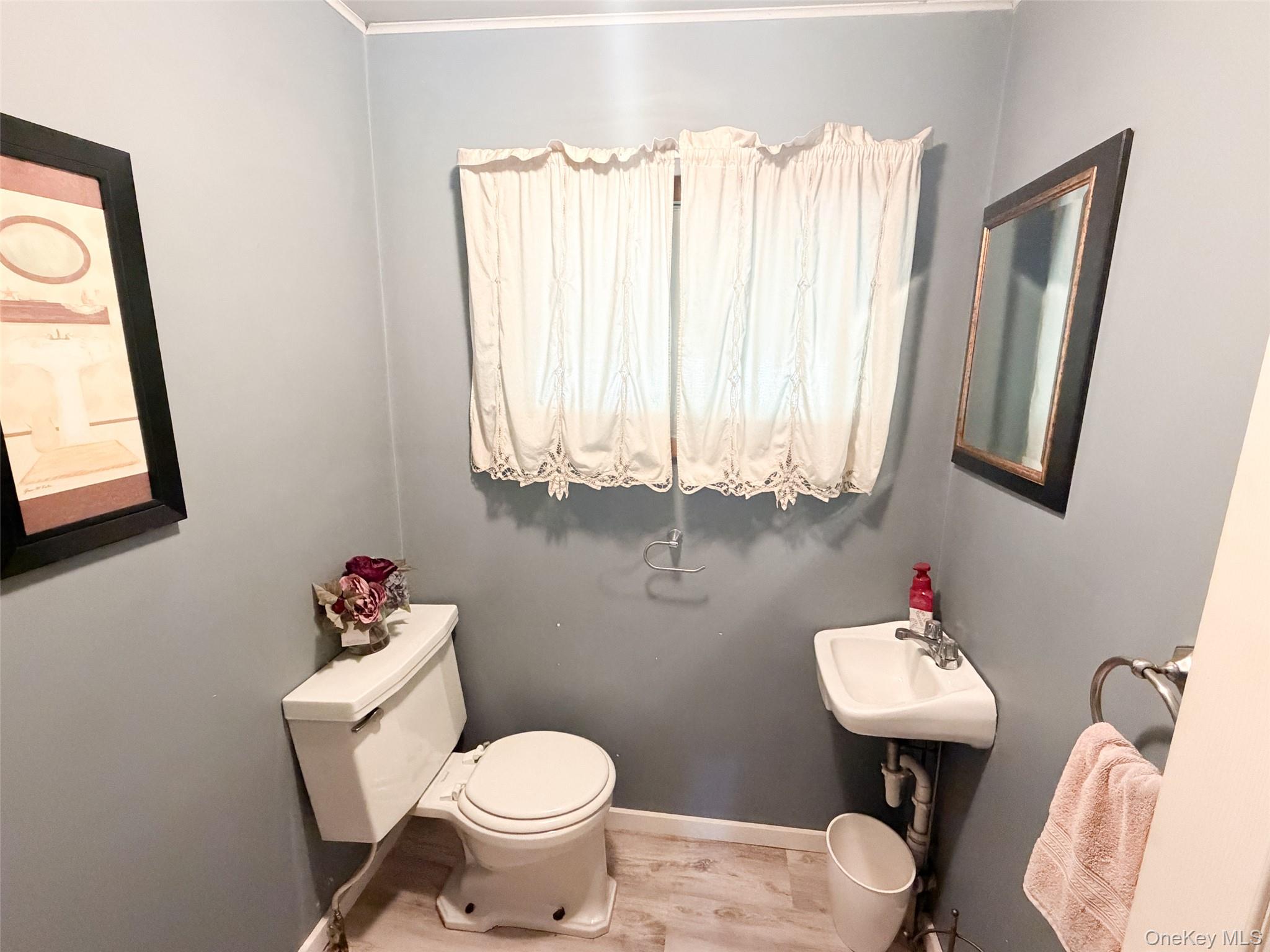 77 Rockland Road Roscoe, NY 12776 - Photo 11 of 20 Compact bathroom featuring a white porcelain toilet, a wall-mounted sink with chrome faucet, and wood-finish flooring