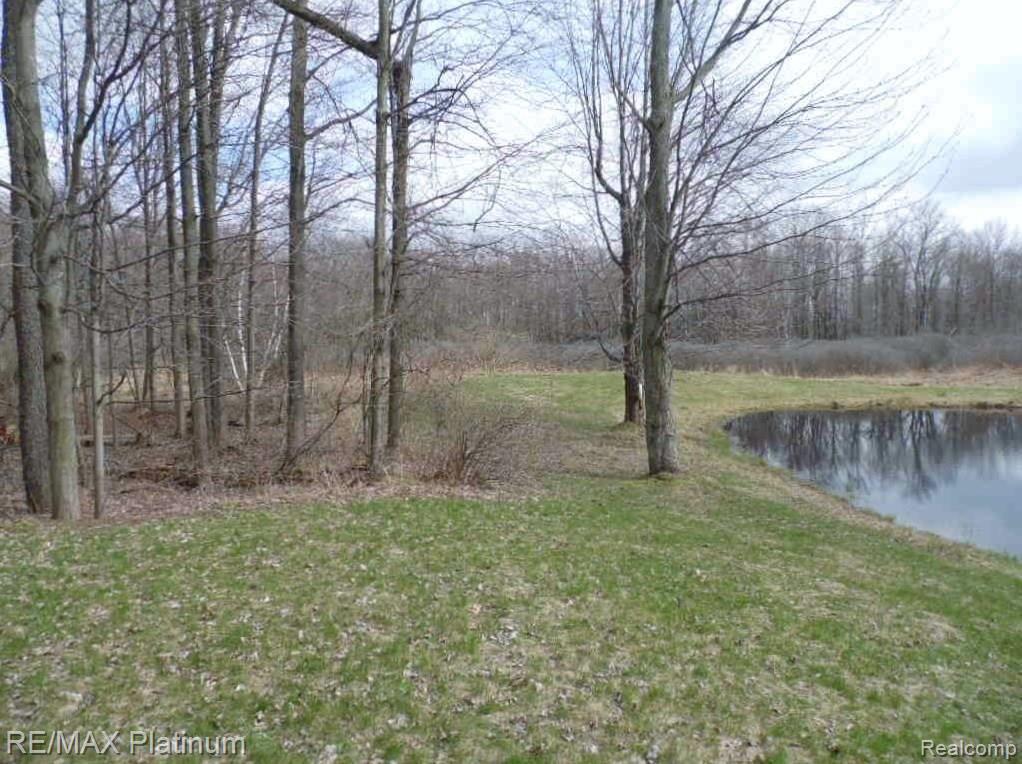 10070 Byron Road Howell, MI 48855 - Photo 20 of 20 2016-04-04 001 020.JPG