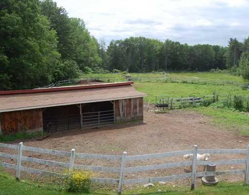 621 Cape Road Limington, ME 04049 - Photo 5 of 11 Stable/Barn.