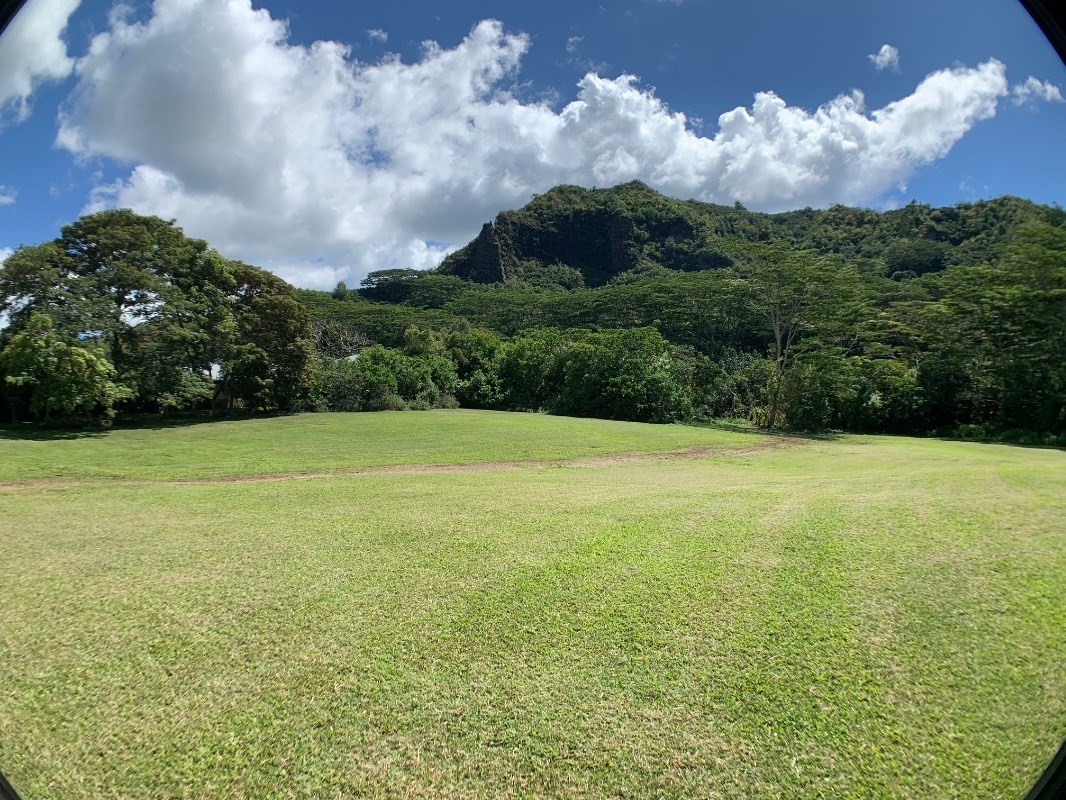 5552 Kuamoo Road, Unit 2 Kapaa, HI 96746 - Photo 19 of 19 Gallery Image 19