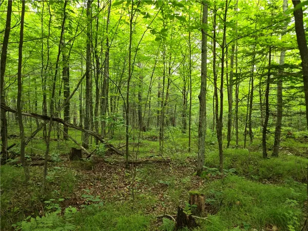 $20,000 | Lot 31-32 West Woodcrest Drive, Cable, WI 54821