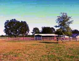 76513 Crockett Road Folsom, LA 70437 - Photo 3 of 6