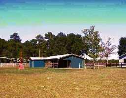 76513 Crockett Road Folsom, LA 70437 - Photo 4 of 6