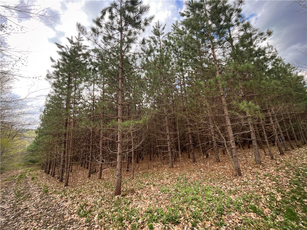 West Creek Road Richford, NY 13835 - Photo 12 of 44