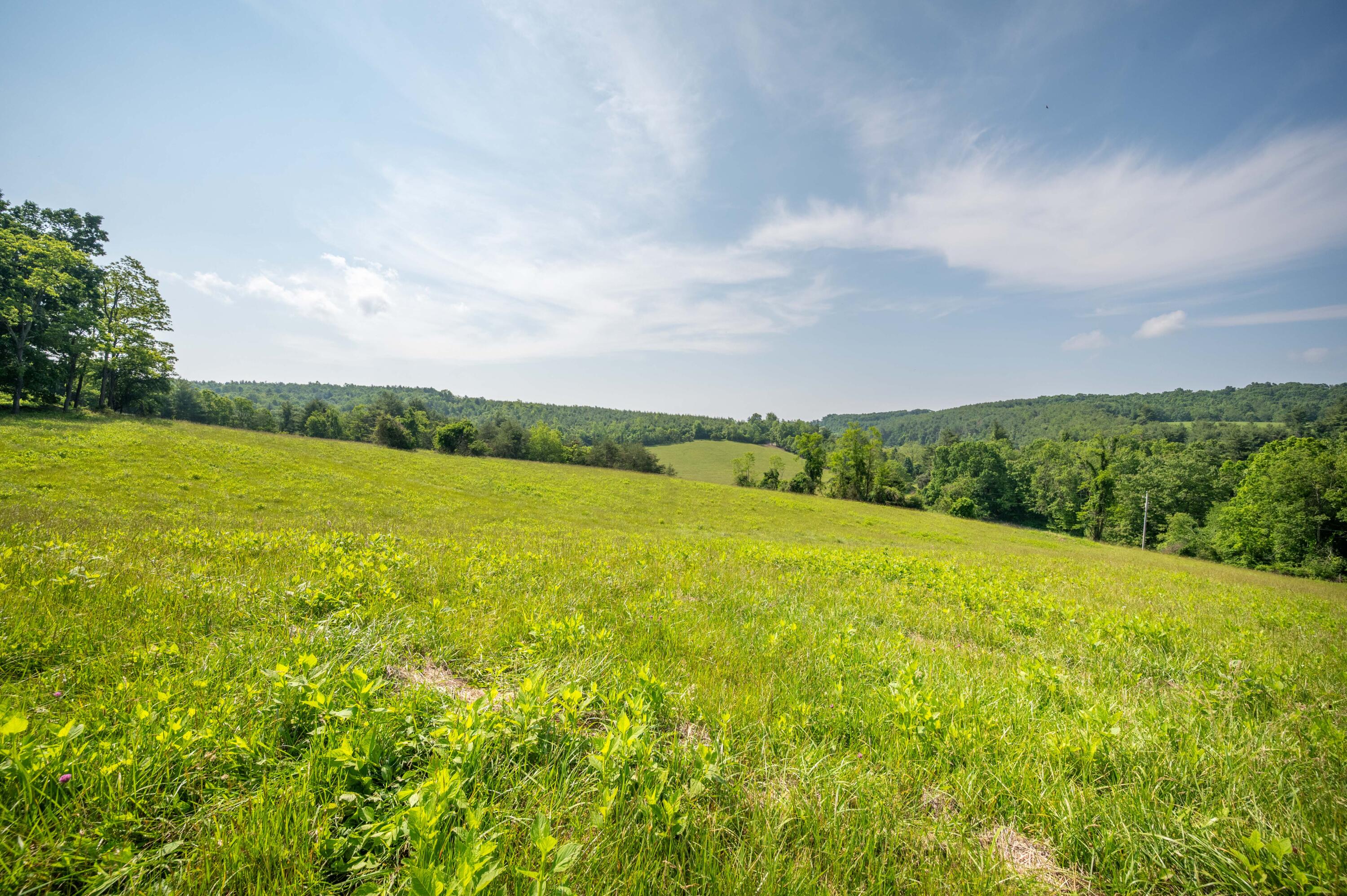 1073 Timberline Road Southeast Copper Hill, VA 24079 - Photo 7 of 56 6