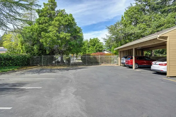 a front view of a house with a garden and plants