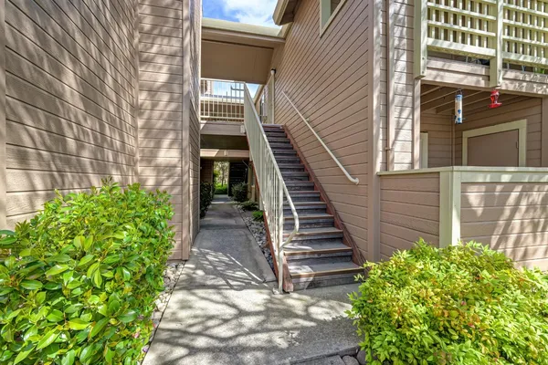 a view of a backyard with plants