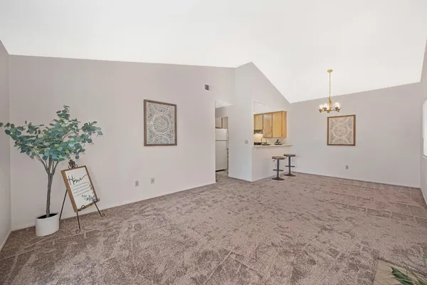 a view of a livingroom with wooden floor and a potted plant