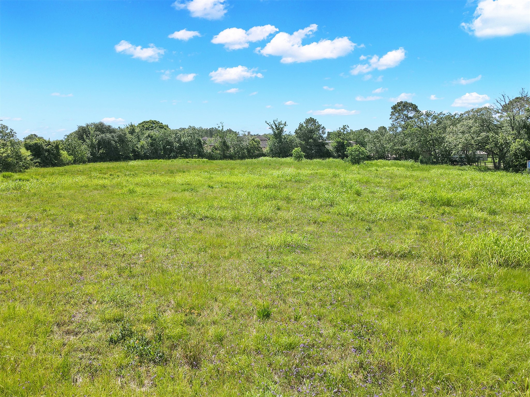 3521 Dixie Farm Road Pearland, TX 77581 - Photo 4 of 4 a view of a green field