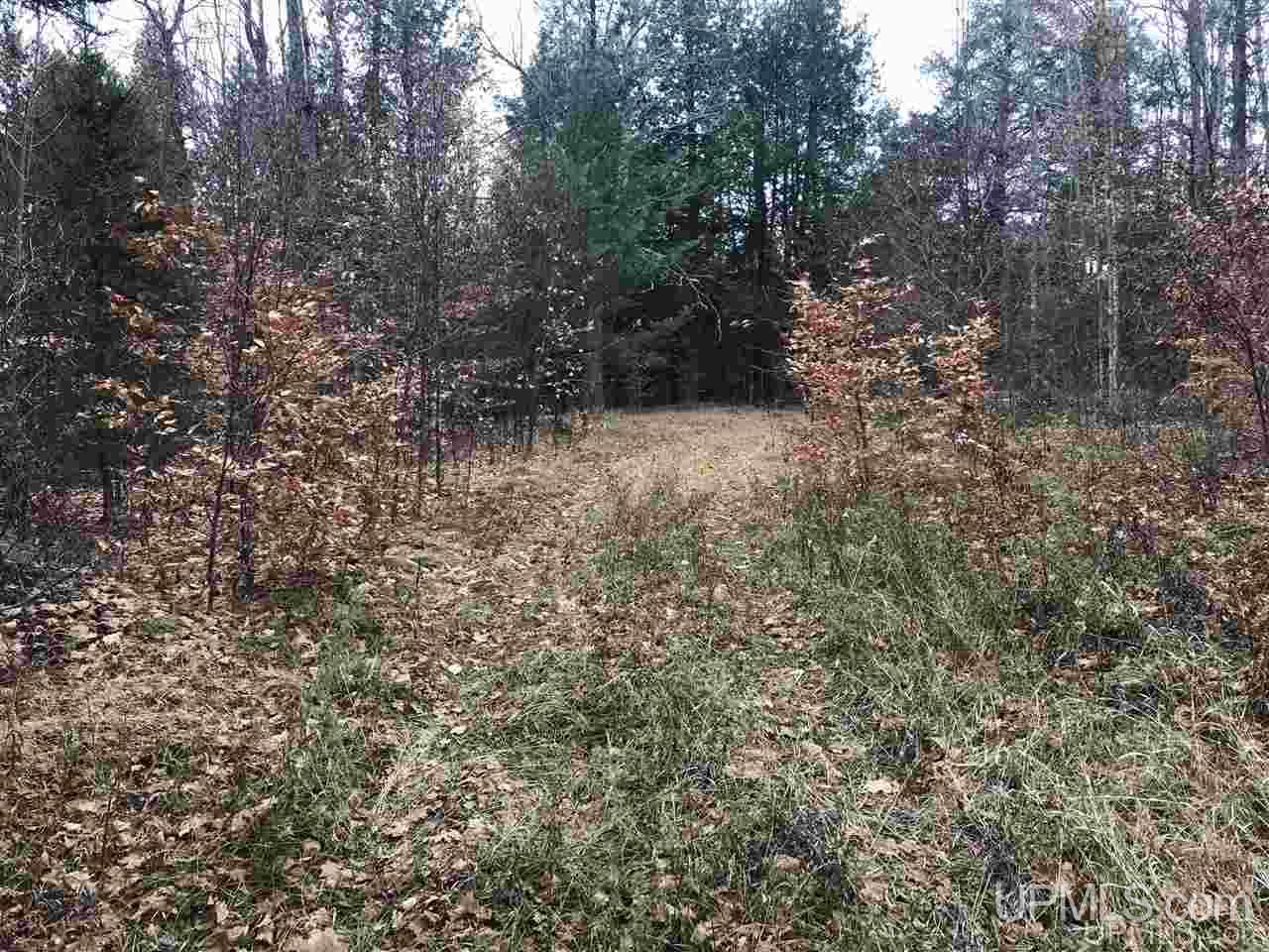 Tbd Off River Road, Unit 2 Hermansville, MI 49847 - Photo 12 of 34