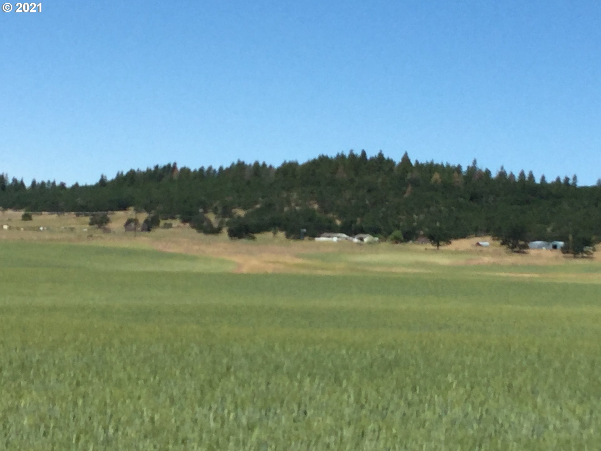 721 Woodland Road, Unit 1 Goldendale, WA 98620 - Photo 2 of 5 Gallery Image 2