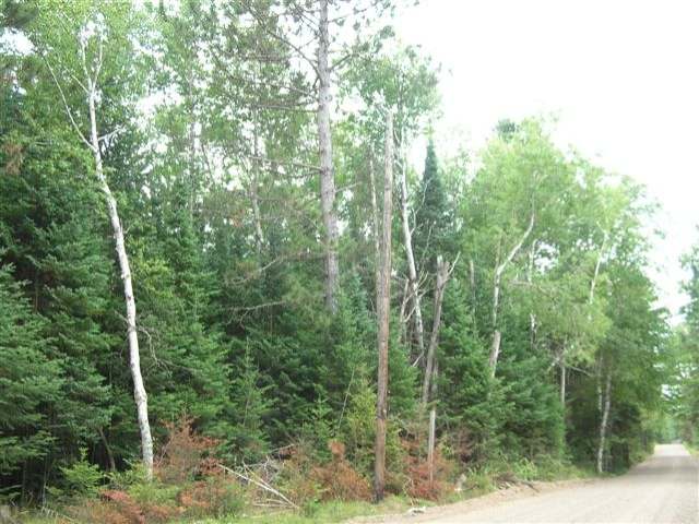 6340 Steve Javenkowski Road Three Lakes, WI 54562 - Photo 9 of 15 Gallery Image 9