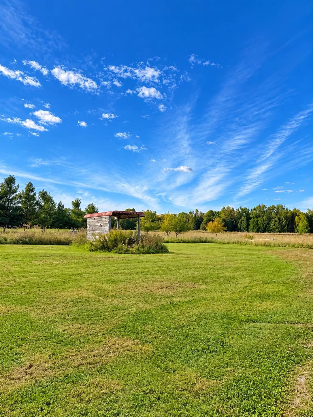 8184 Schultz Road Hubbard Lake, MI 49747 - Photo 37 of 39 Gallery Image 37