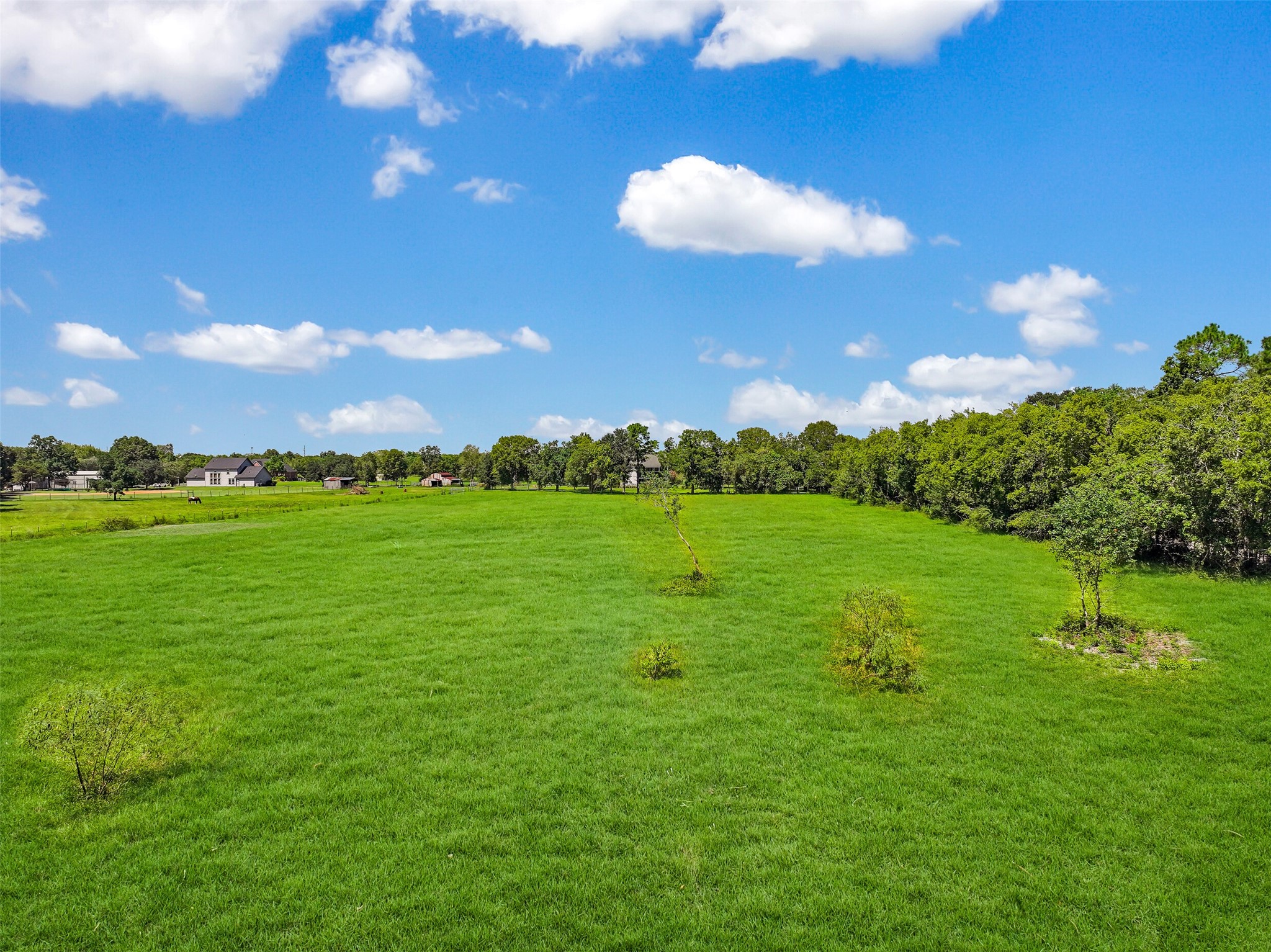 1412 Hollier Road Friendswood, TX 77546 - Photo 5 of 29