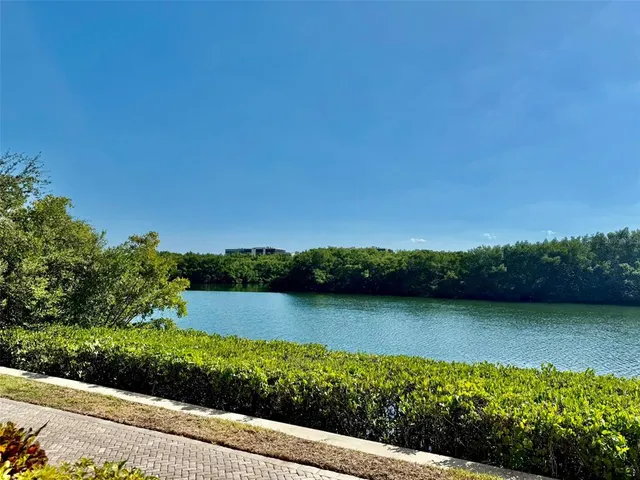 a view of a lake with a mountain in the background