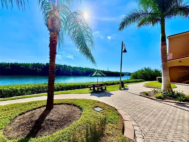 a view of a park with large trees