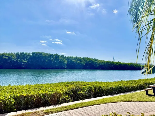 a view of a lake with a city