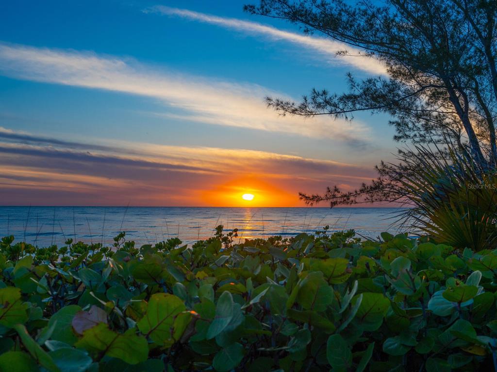 3201 Casey Key Road Nokomis, FL 34275 - Photo 58 of 98
