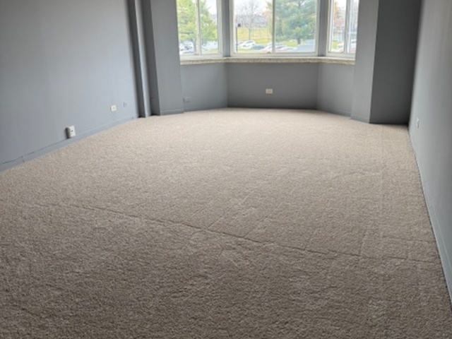 220 South Roselle Road, Unit 224 Schaumburg, IL 60193 - Photo 17 of 20