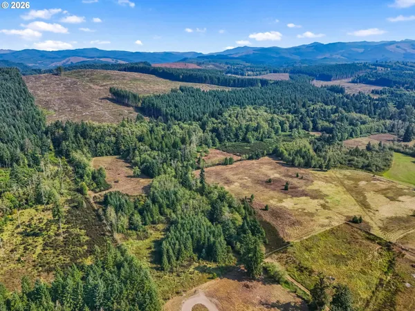 a view of a back yard