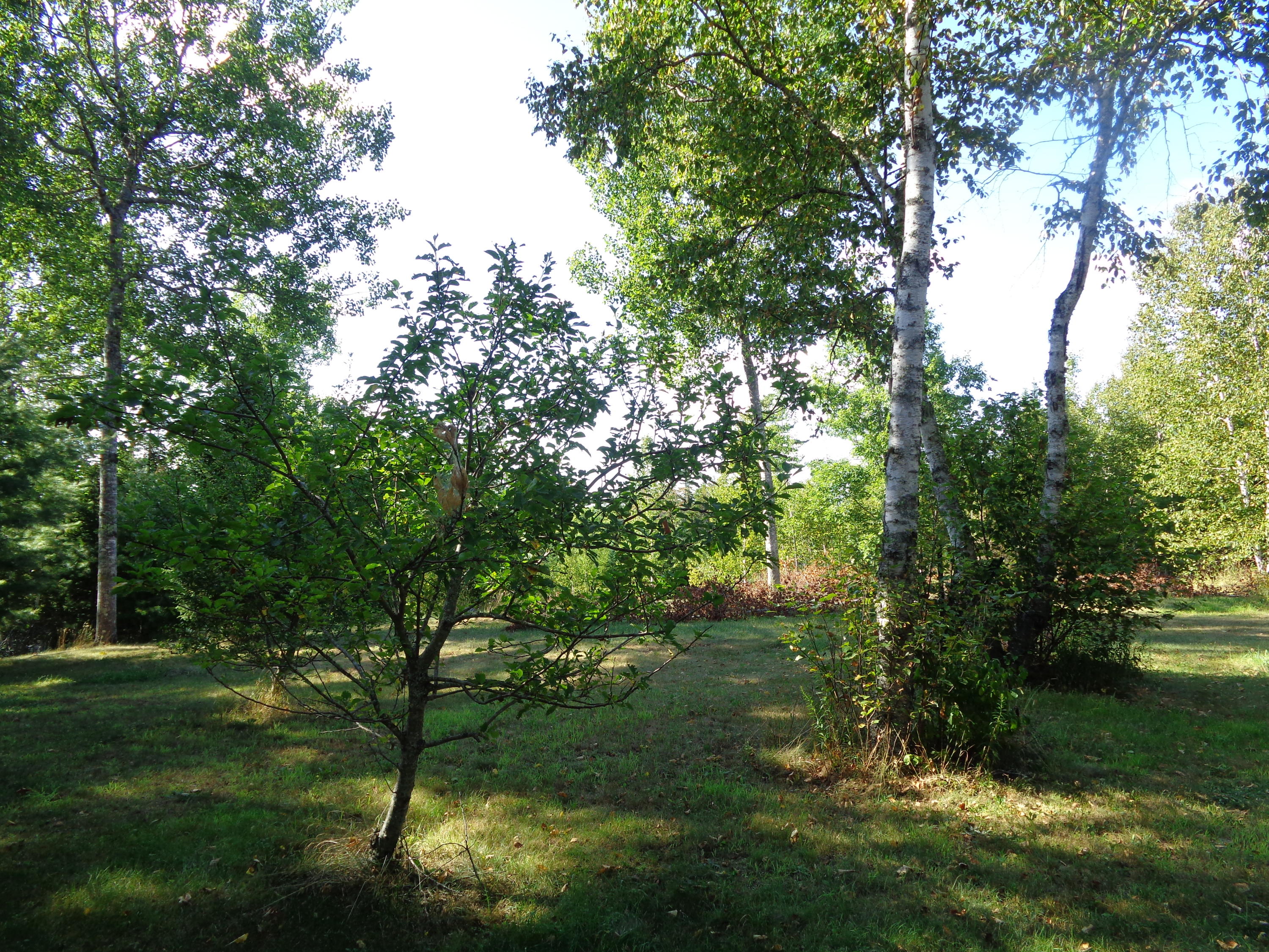 46 B Fuller Road Sullivan, ME 04664 - Photo 3 of 9 DSC07432