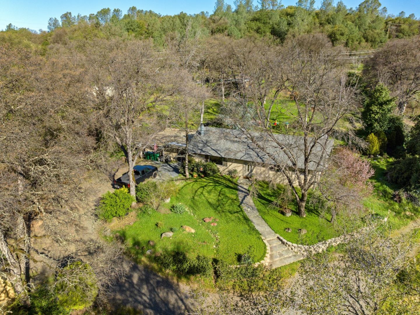 10264 Combie Road Grass Valley, CA 95949 - Photo 13 of 53 a view of a yard with a tree
