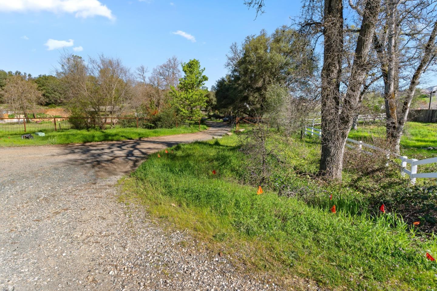 10264 Combie Road Grass Valley, CA 95949 - Photo 24 of 53 a view of a yard with a tree