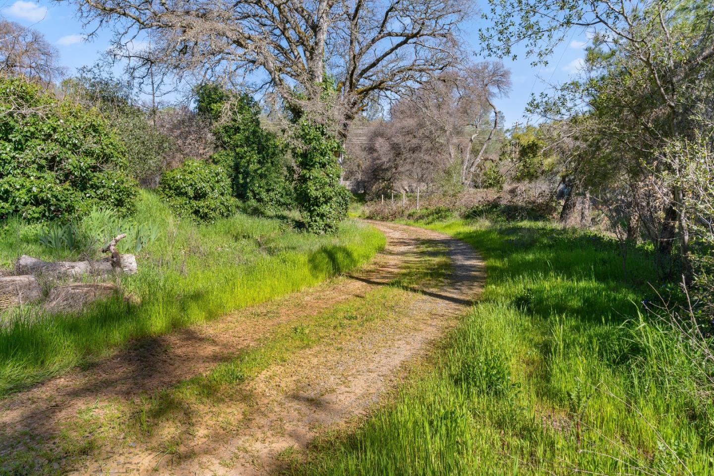 10264 Combie Road Grass Valley, CA 95949 - Photo 31 of 53 a view of an outdoor space and a yard