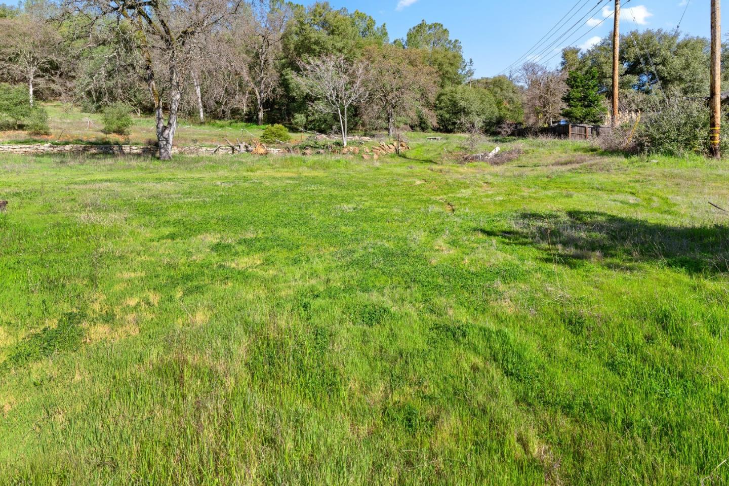 10264 Combie Road Grass Valley, CA 95949 - Photo 34 of 53 a view of a green field