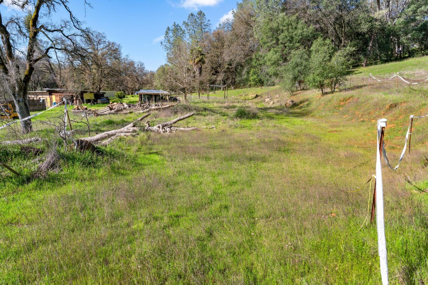 10264 Combie Road Grass Valley, CA 95949 - Photo 36 of 53 a view of yard with green space