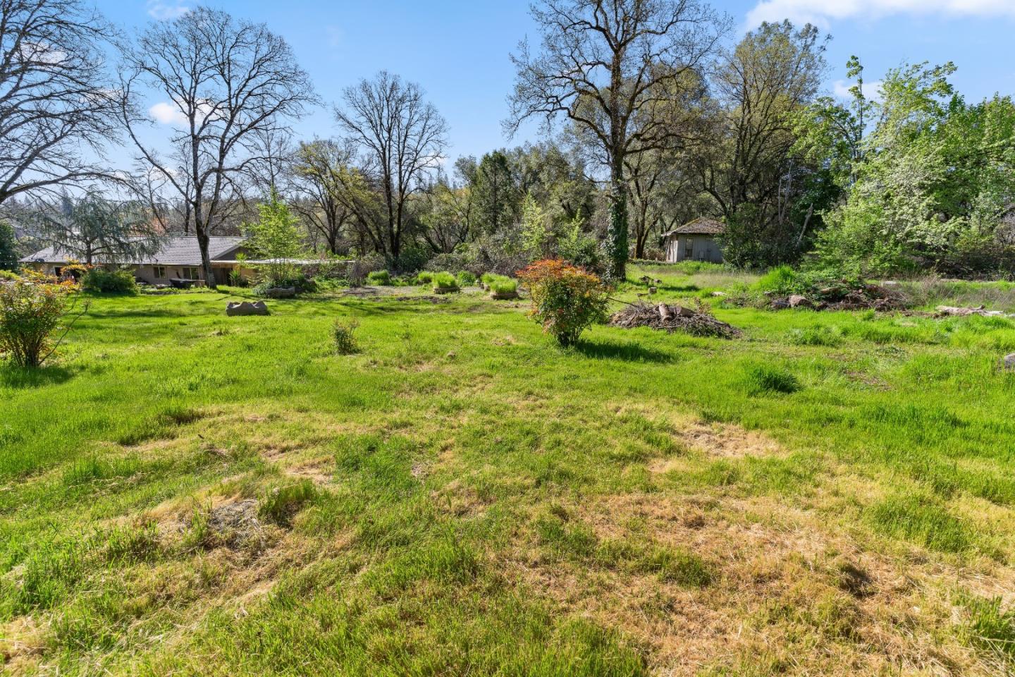 10264 Combie Road Grass Valley, CA 95949 - Photo 37 of 53 a view of backyard with green space