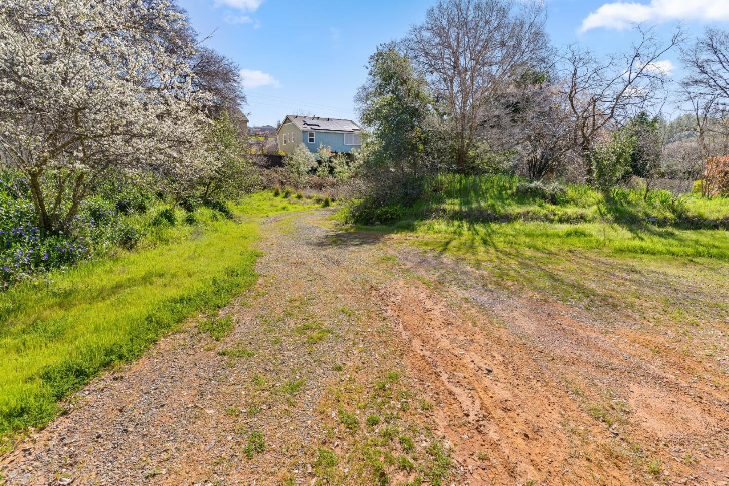 10264 Combie Road Grass Valley, CA 95949 - Photo 38 of 53 a view of a yard with plants and trees