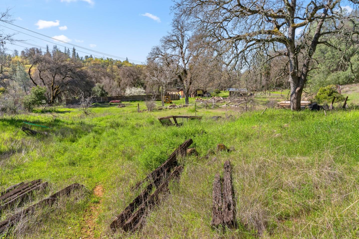 10264 Combie Road Grass Valley, CA 95949 - Photo 43 of 53 a view of yard with green space