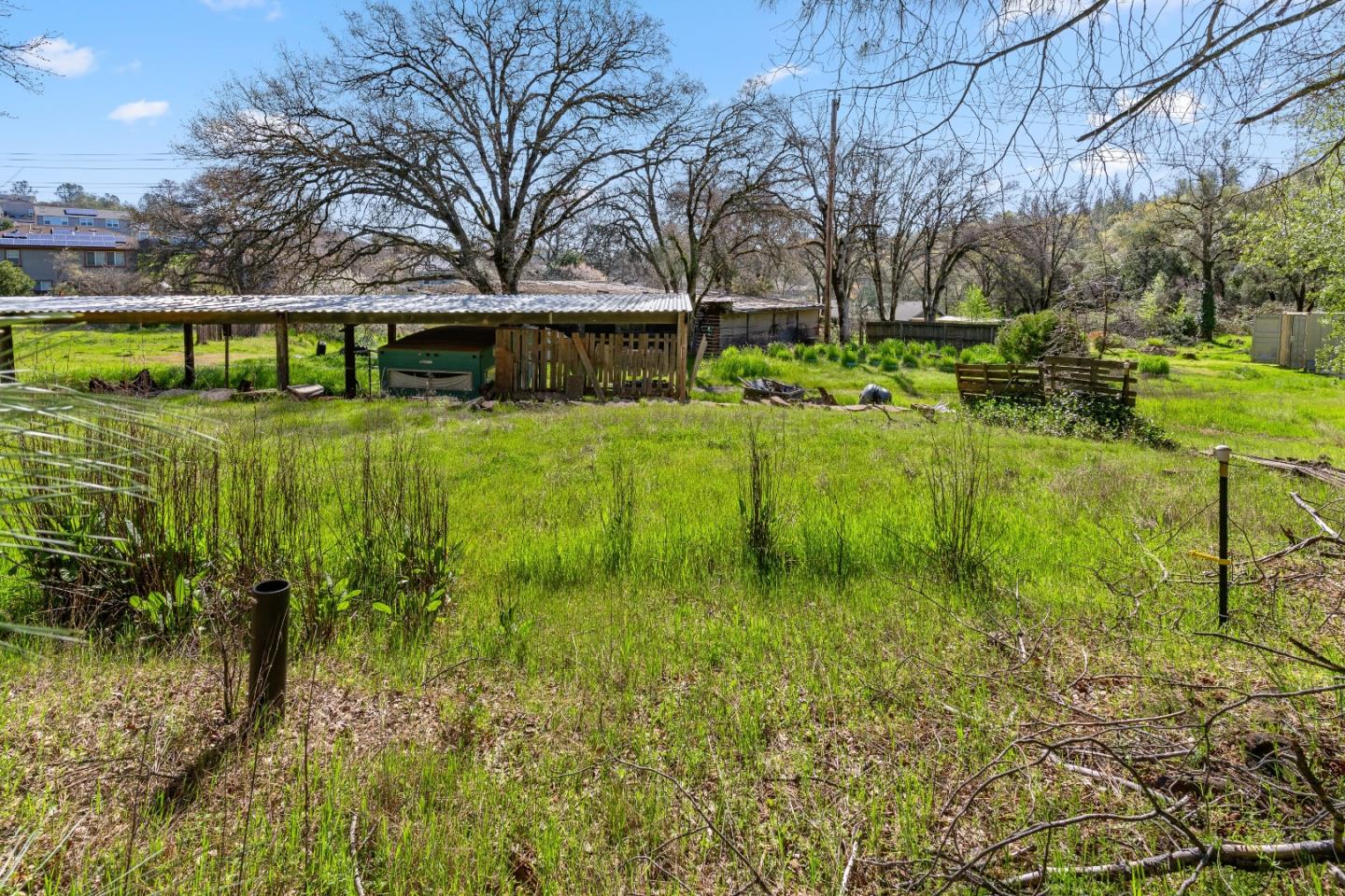10264 Combie Road Grass Valley, CA 95949 - Photo 45 of 53 a view of a big yard with plants and large trees