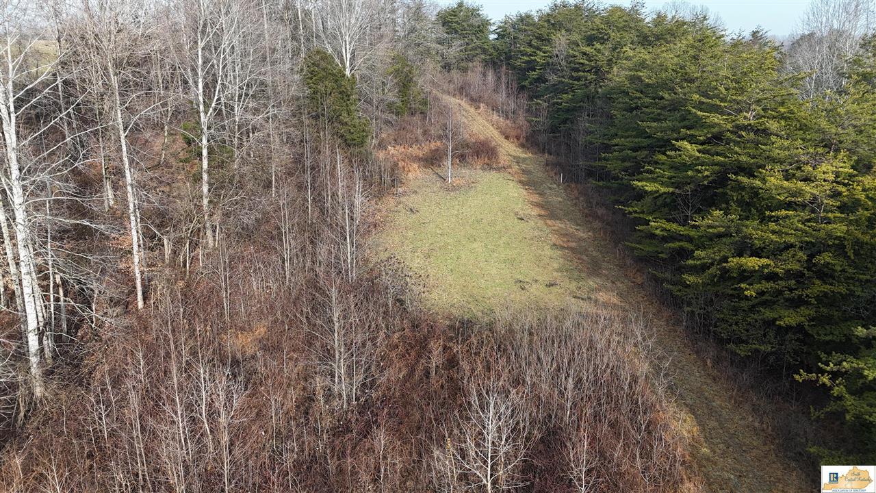 Gallery Image 7