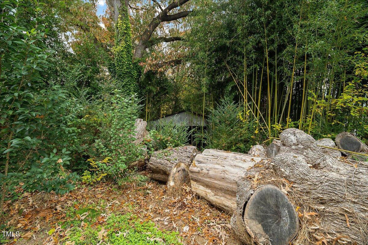 1634 Crest Road Raleigh, NC 27606 - Photo 25 of 36 25-P1256255