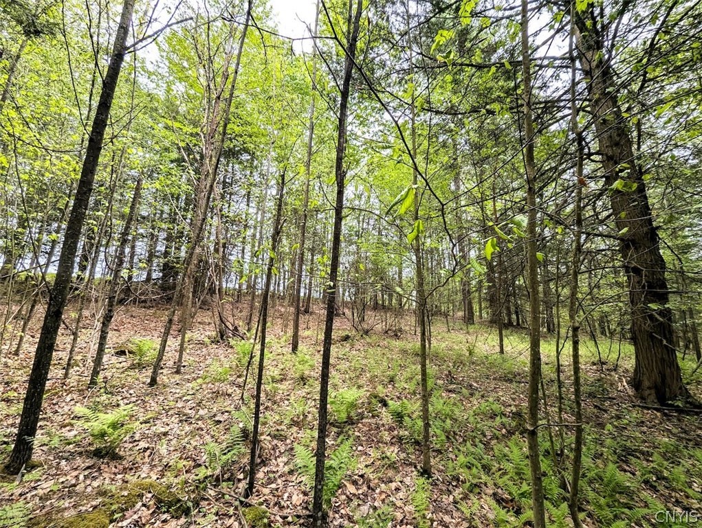 Stewart Road Addison, NY 14801 - Photo 7 of 29