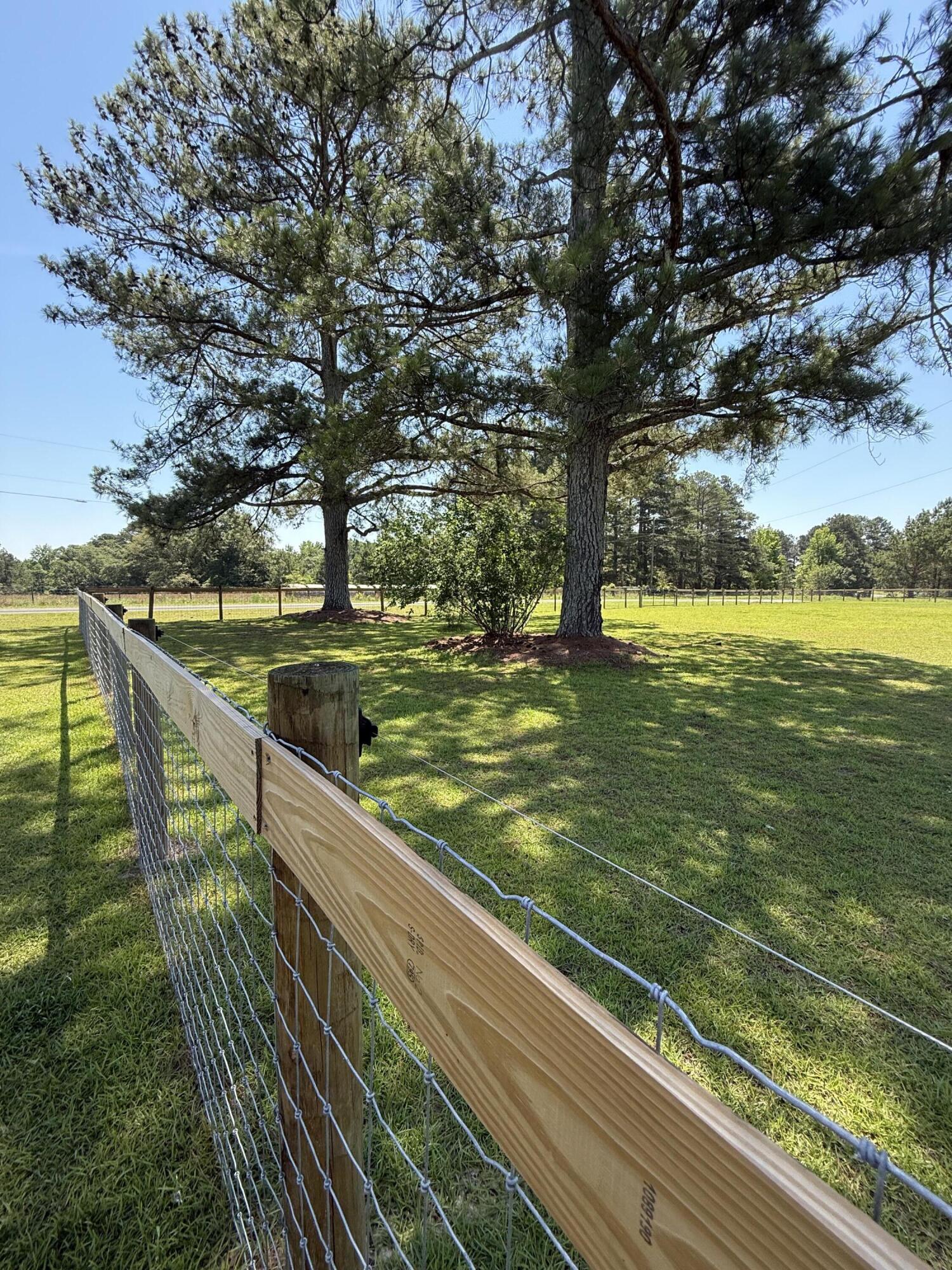 1412 McCreight Road Ridge Spring, SC 29129 - Photo 6 of 38