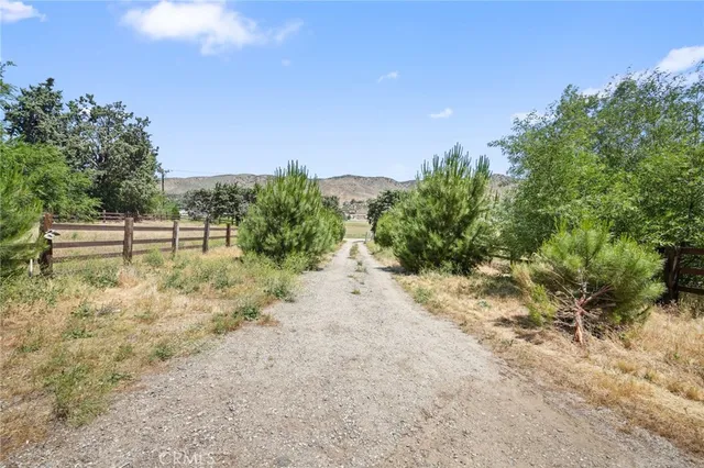 a view of a yard with large trees