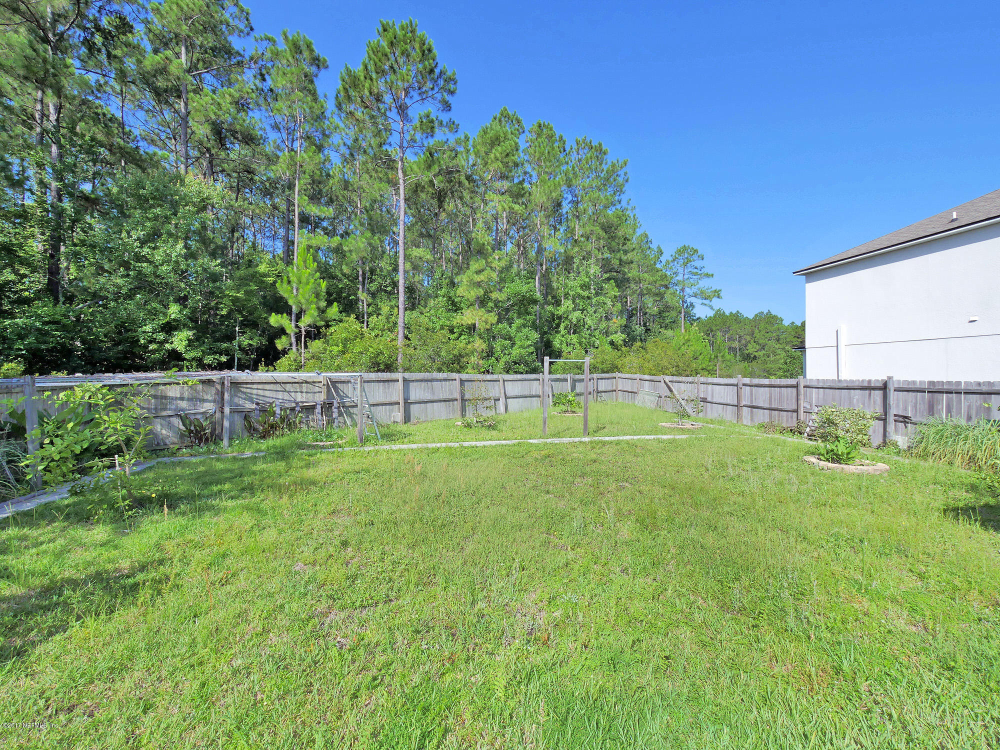 9146 Raptor Drive Jacksonville, FL 32221 - Photo 24 of 26 a view of a yard with a large tree