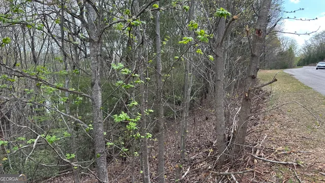 a view of basketball court