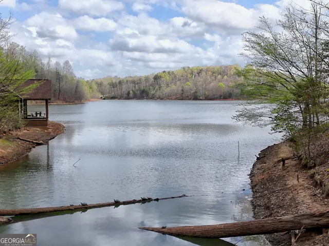 a view of a lake from a yard
