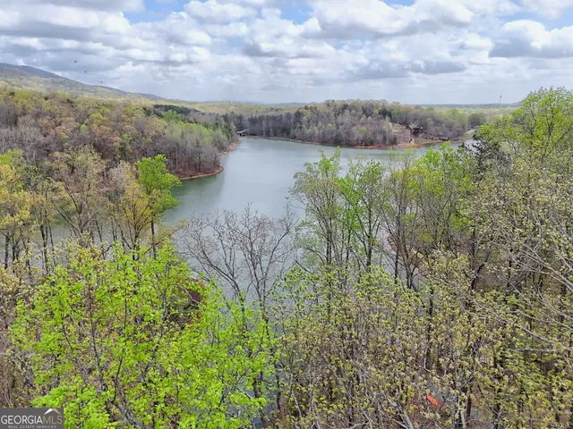 a view of a forest with lots of trees