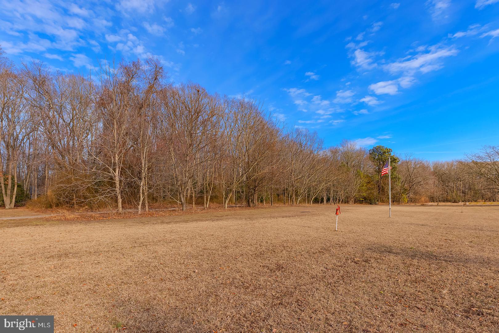 15997 Pickering Drive Milton, DE 19968 - Photo 52 of 68