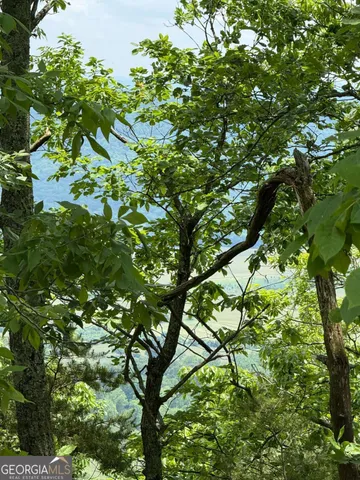 a backyard of a house with lots of green tree