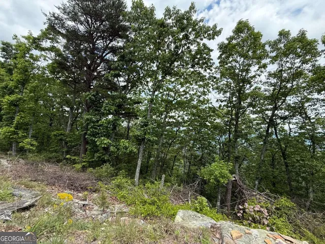 a backyard of a house with lots of trees