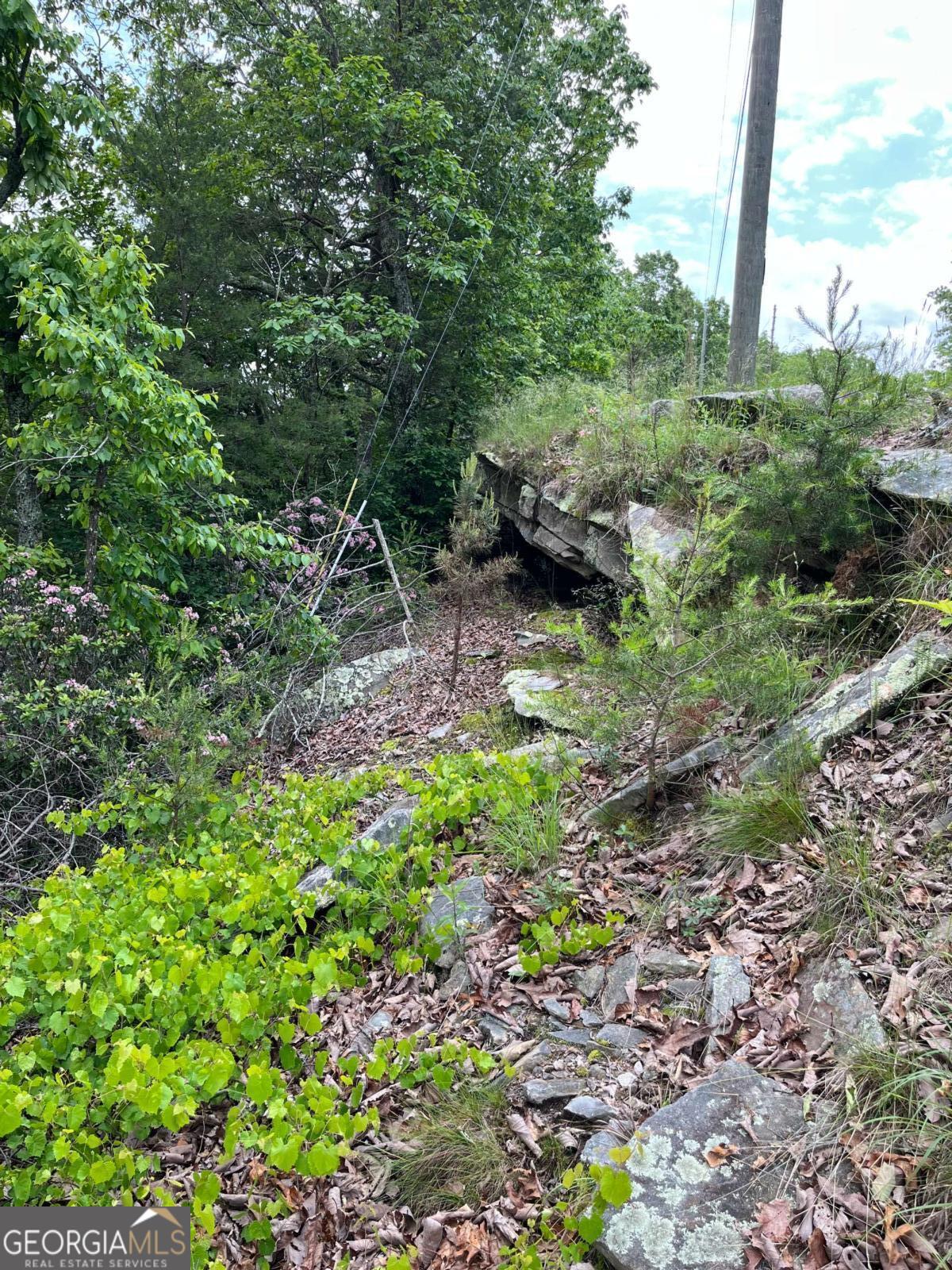 157 Hwy Menlo, GA 30731 - Photo 6 of 12 a backyard of a house with lots of green space